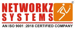Network systems logo